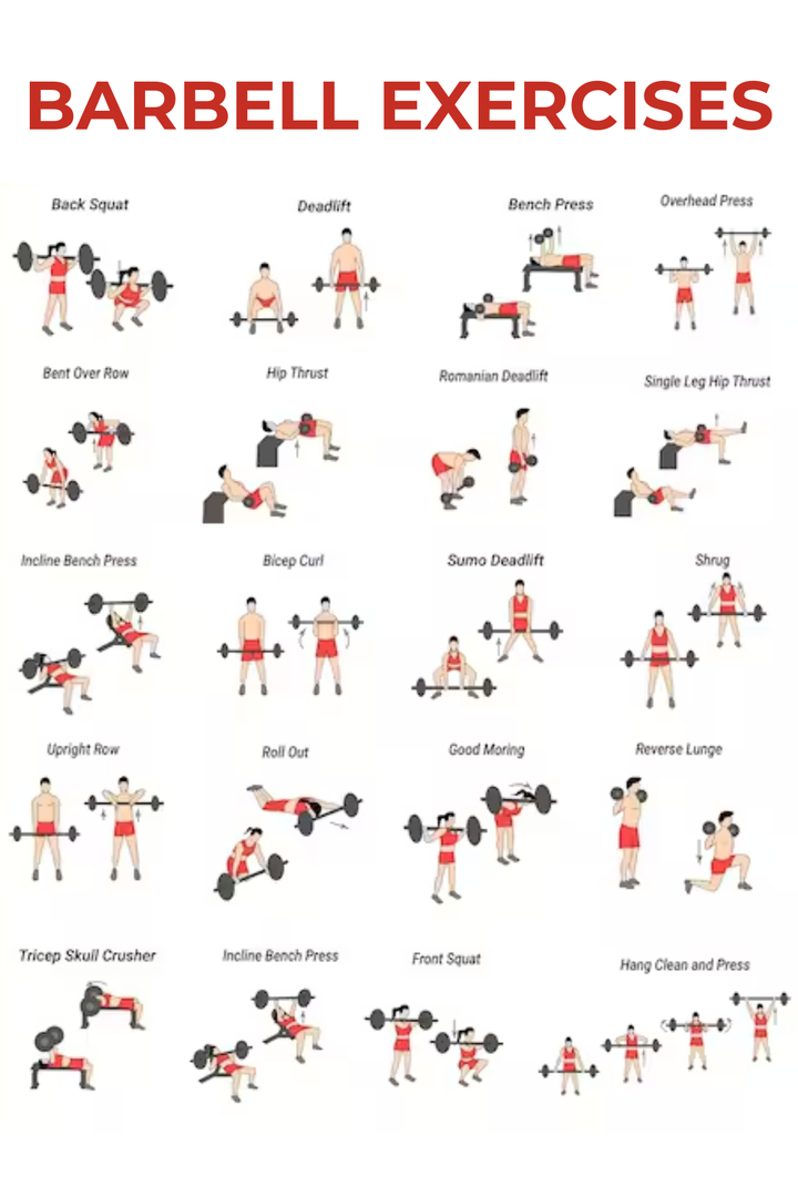 Body Iron Commercial 5ft Olympic Barbell