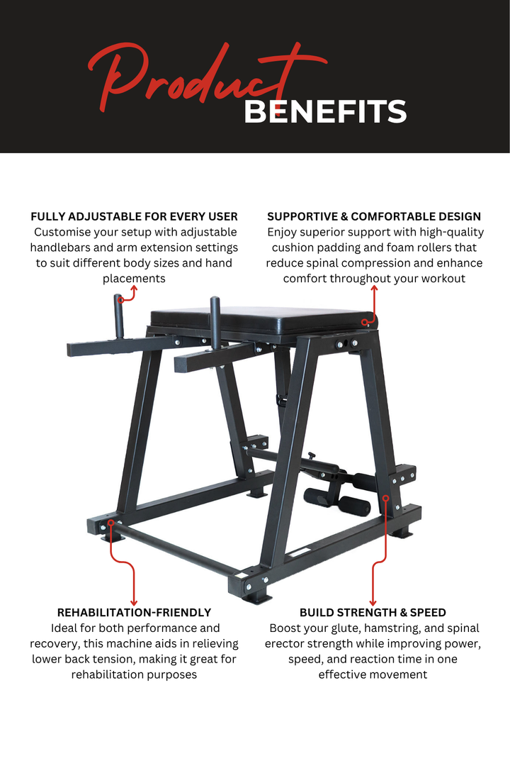 Body Iron Commercial Reverse Hyperextension