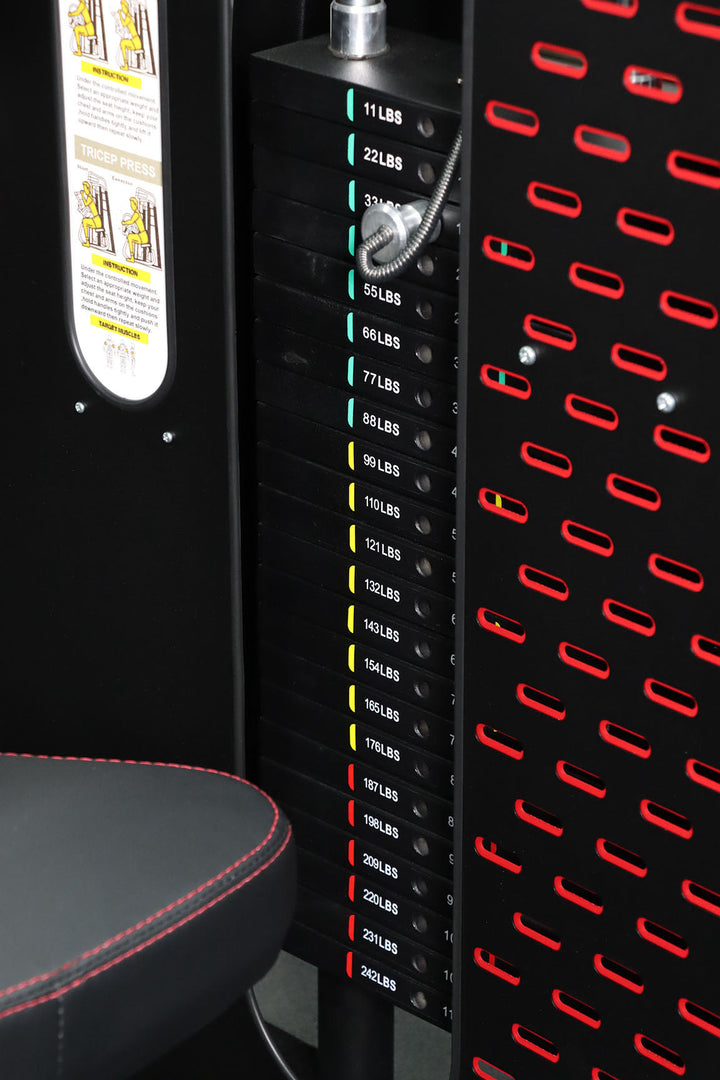 Body Iron Commercial Bicep / Tricep Curl Extension