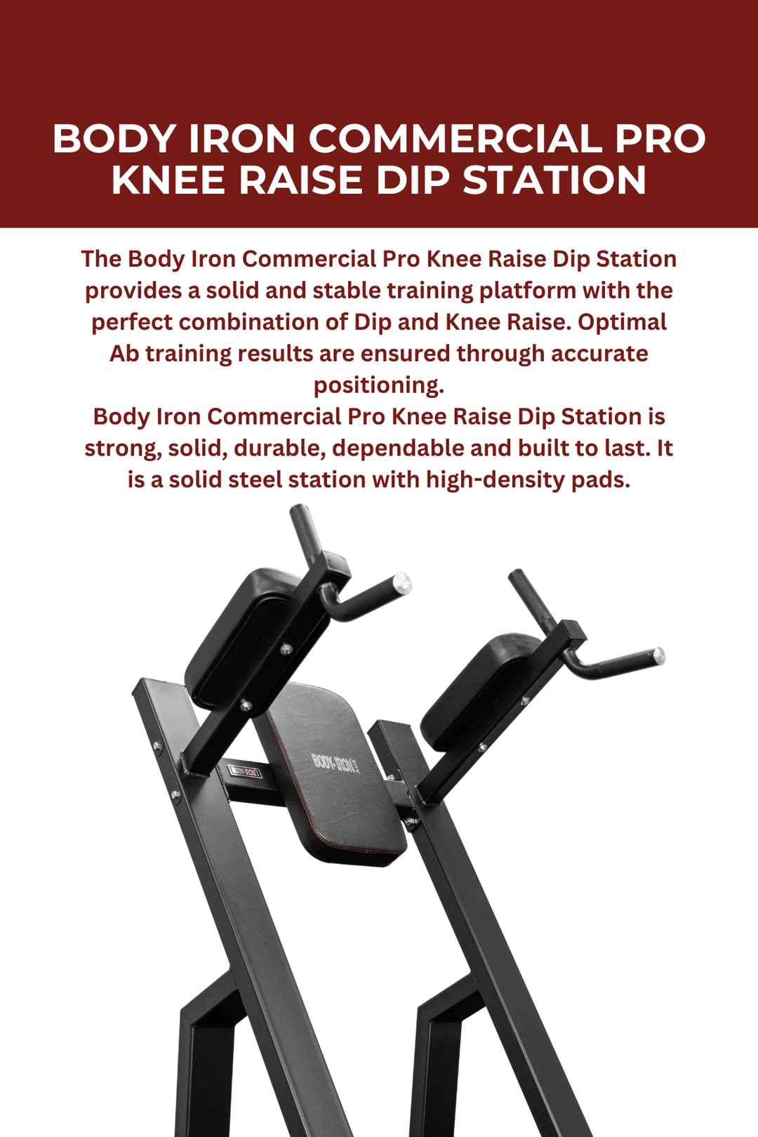 Body Iron Commercial Pro Knee Raise Dip Station