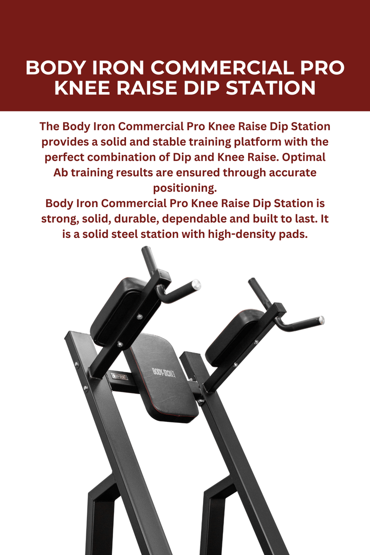 Body Iron Commercial Pro Knee Raise Dip Station