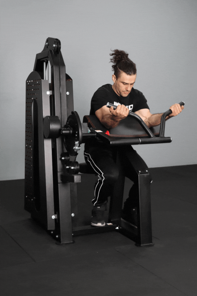 Body Iron Commercial Bicep / Tricep Curl Extension