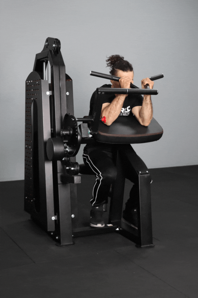 Body Iron Commercial Bicep / Tricep Curl Extension