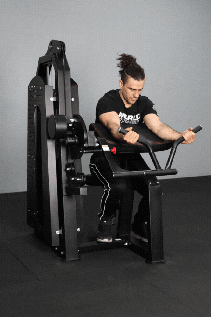 Body Iron Commercial Bicep / Tricep Curl Extension